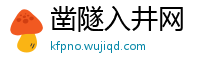 凿隧入井网